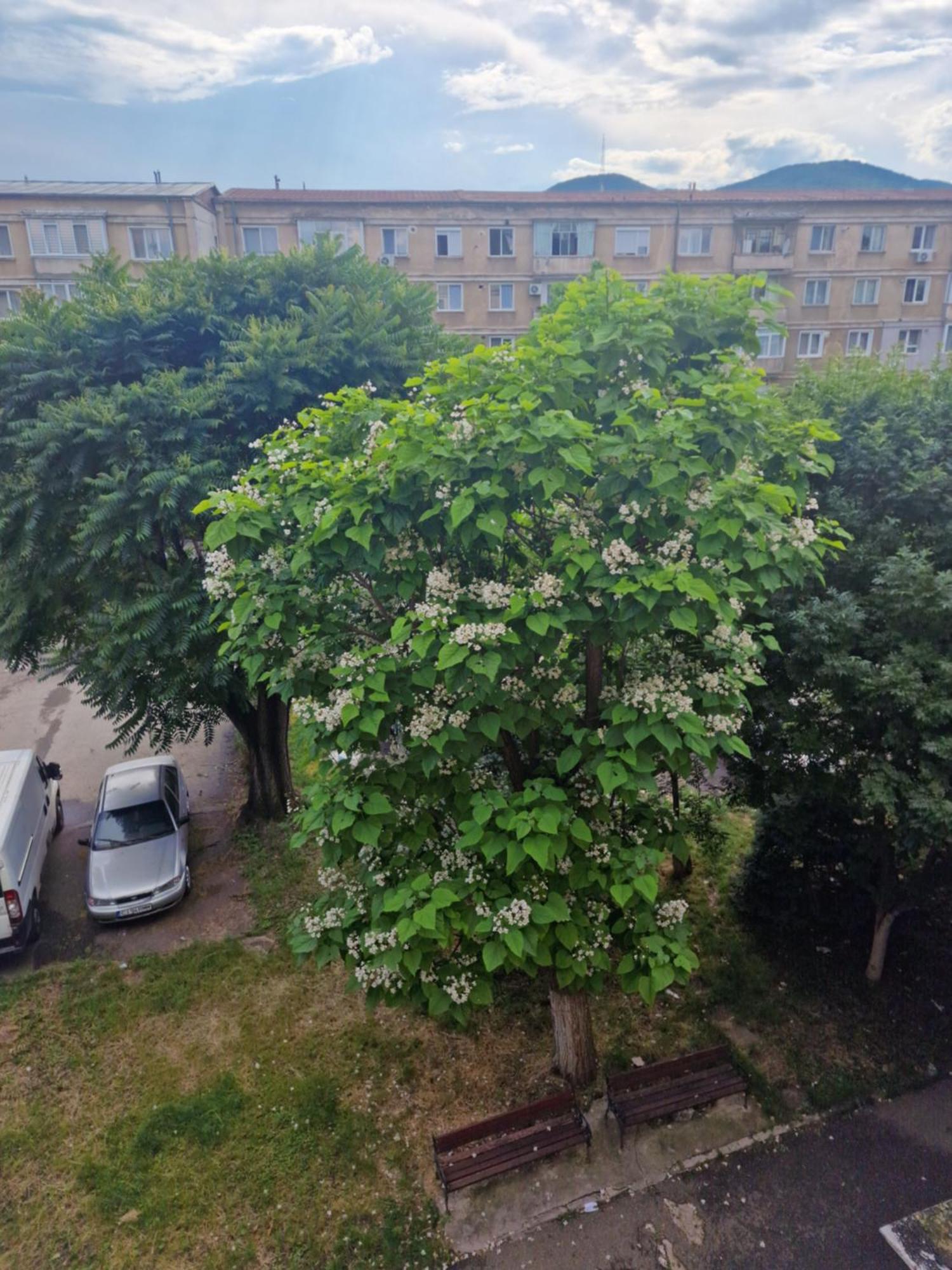 Apartament Central Deva Apartman Kültér fotó